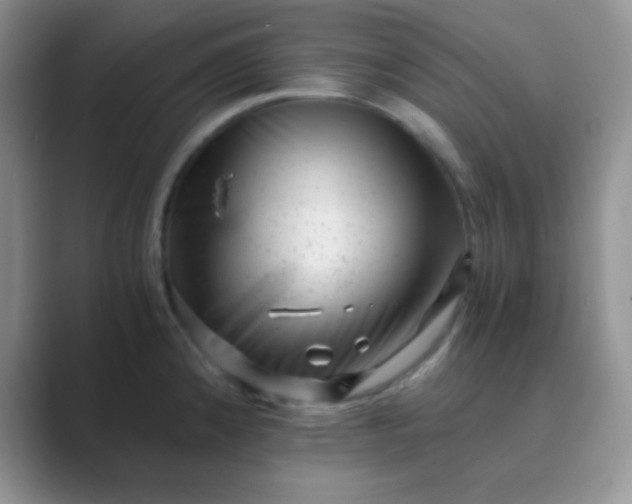 X0000089711192200707051656