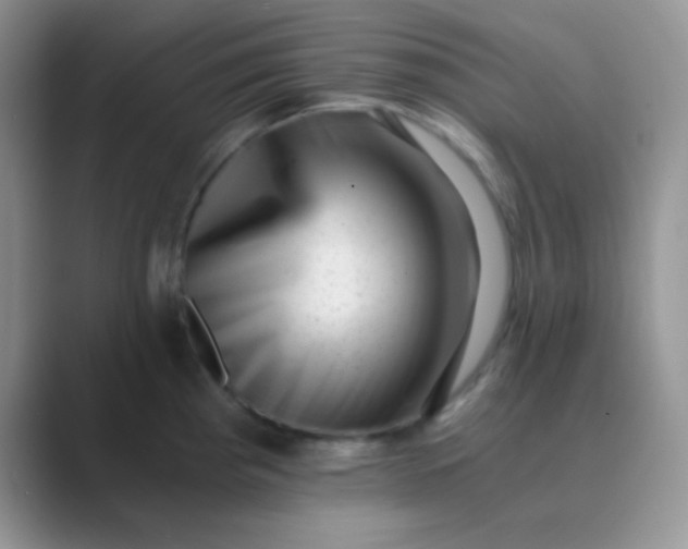 X0000089711193200707051656