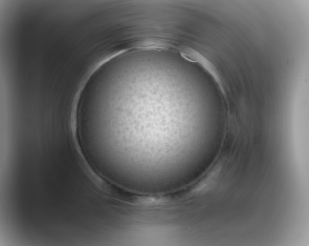 X0000089711195200707051656