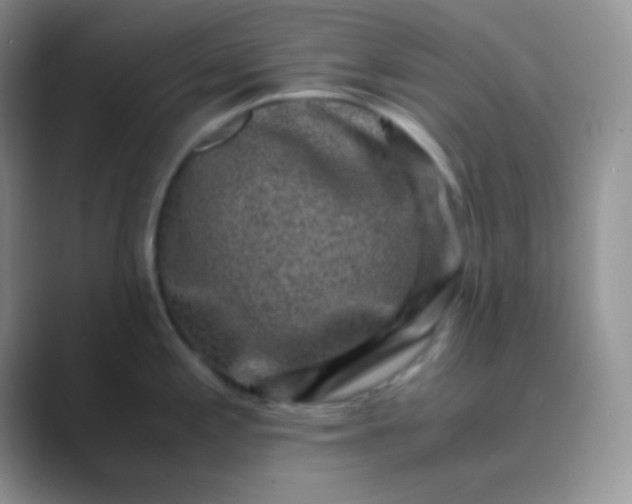 X0000089711197200707051656