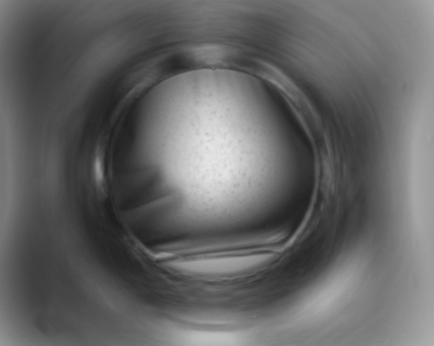 X0000089711198200707051656