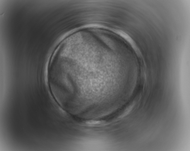 X0000089711199200707051656