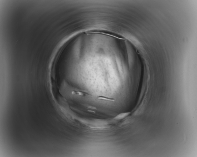 X0000089711200200707051656