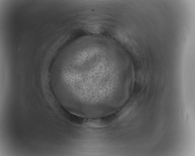 X0000089711201200707051655