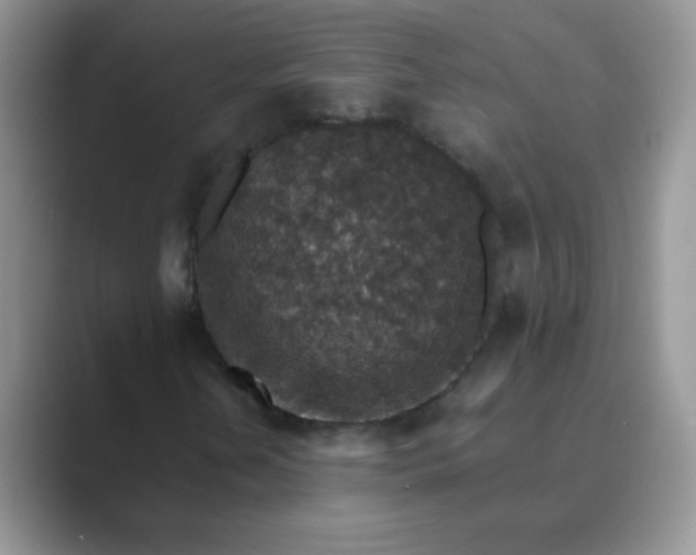 X0000089711202200707051655