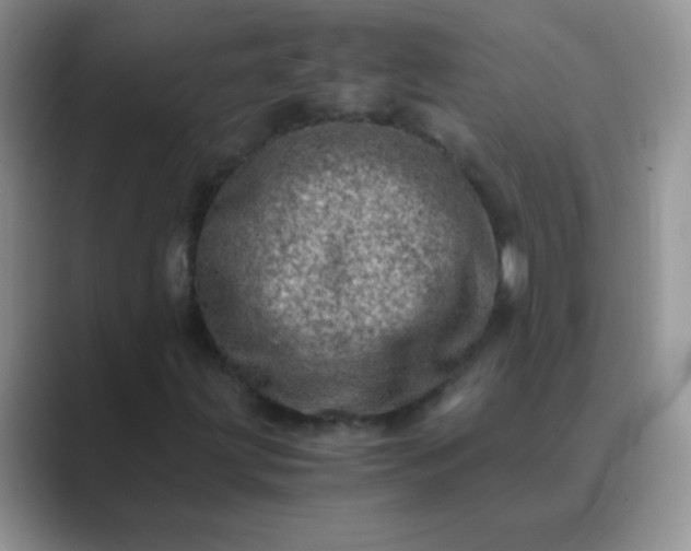 X0000089711203200707051655