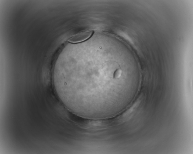 X0000089711211200707051655