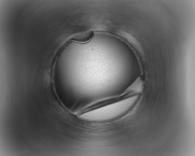 X0000089711212200707051655