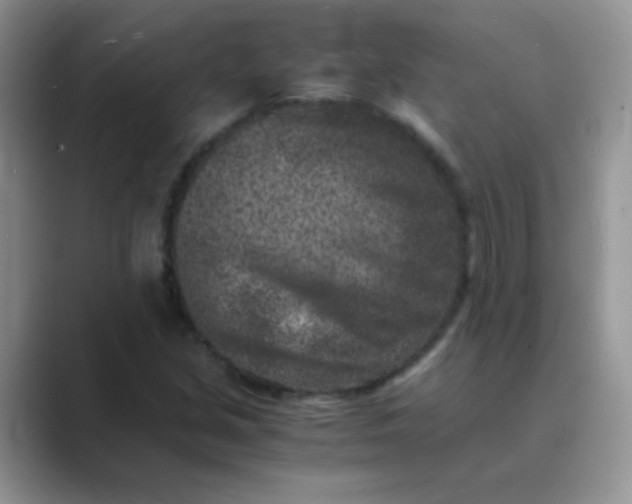 X0000089711213200707051655