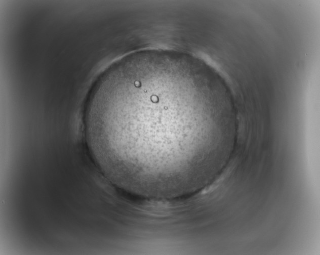 X0000089711215200707051655