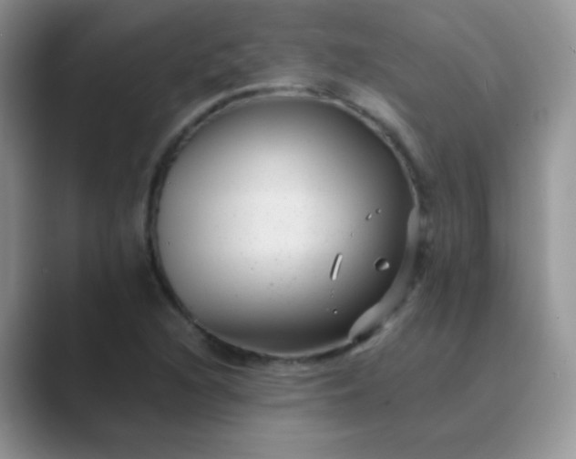 X0000089711216200707051655