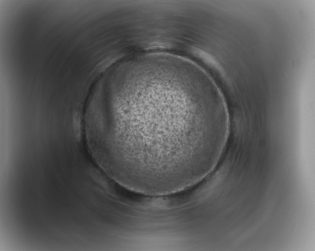 X0000089711217200707051655