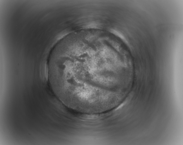 X0000089711219200707051655