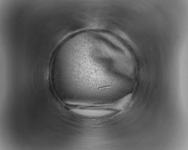 X0000089711220200707051655