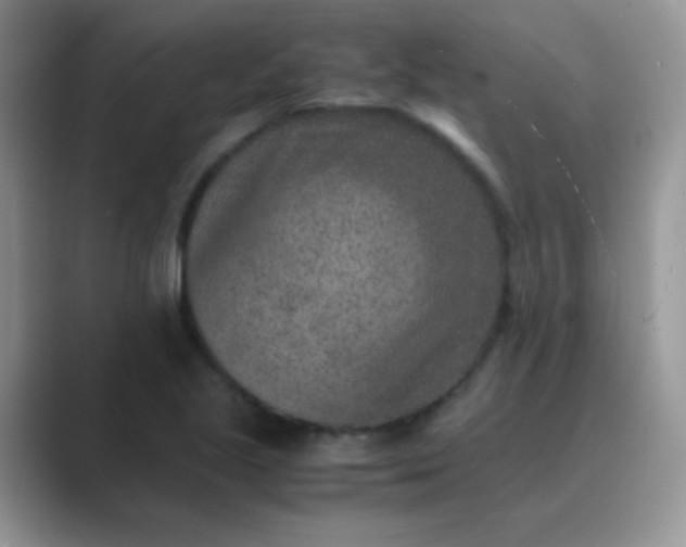 X0000089711221200707051655