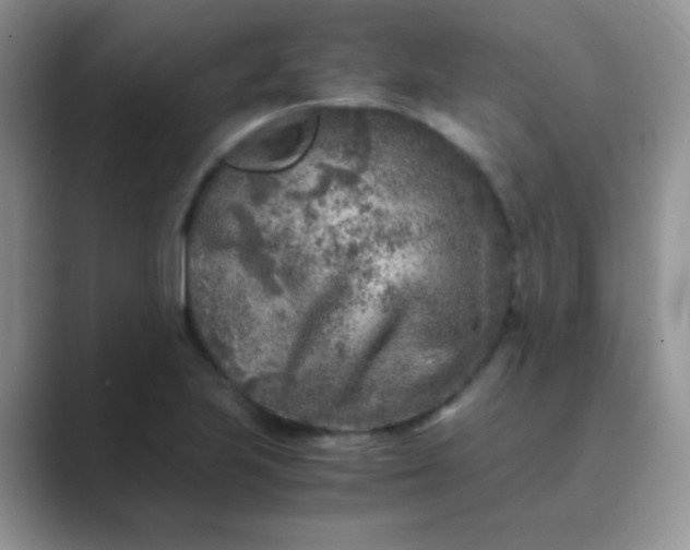 X0000089711223200707051655