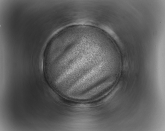 X0000089711224200707051655