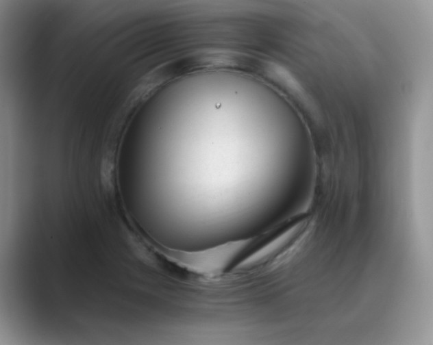 X0000089711225200707051655