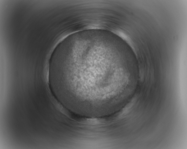 X0000089711227200707051655