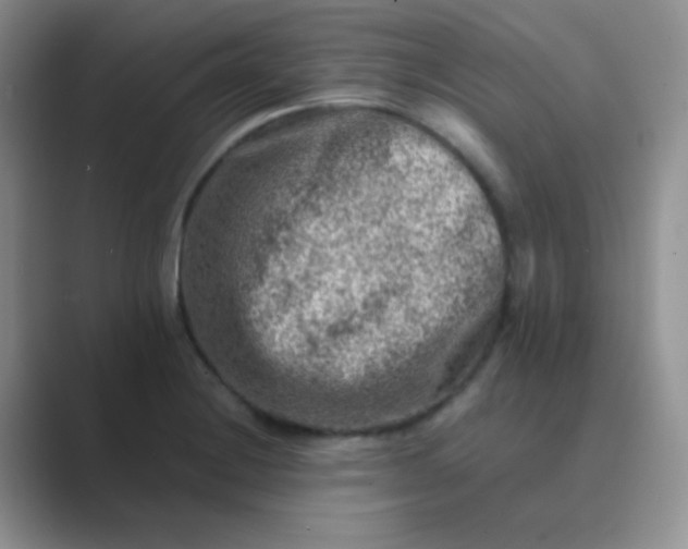 X0000089711228200707051656