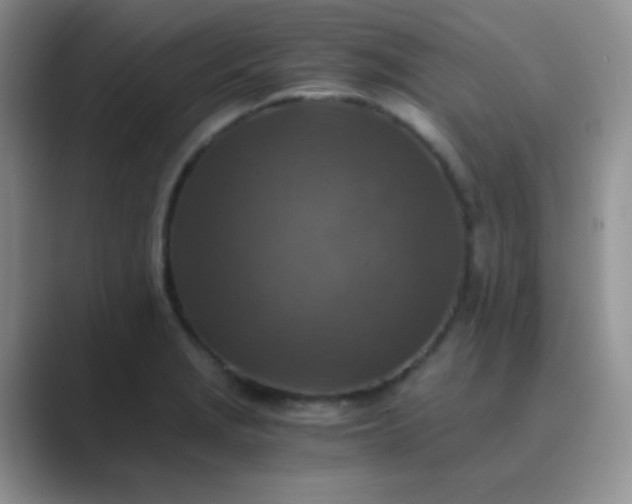 X0000089711229200707051656