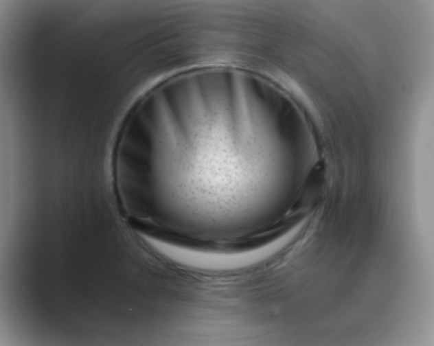 X0000089711230200707051656