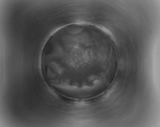 X0000089711231200707051656