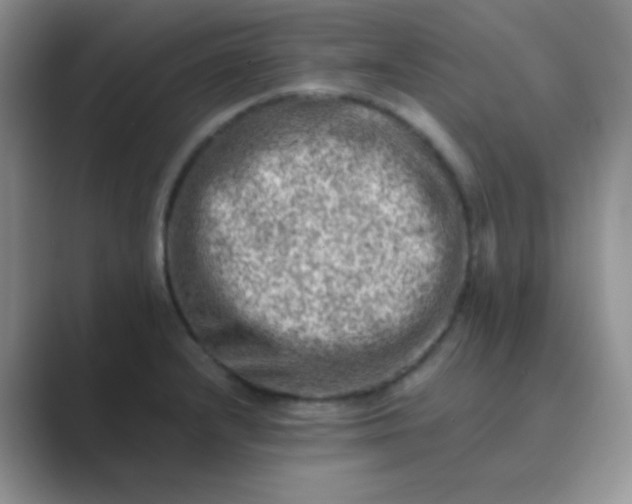 X0000089711232200707051656