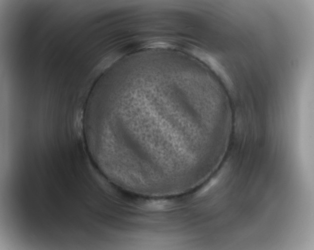 X0000089711233200707051656