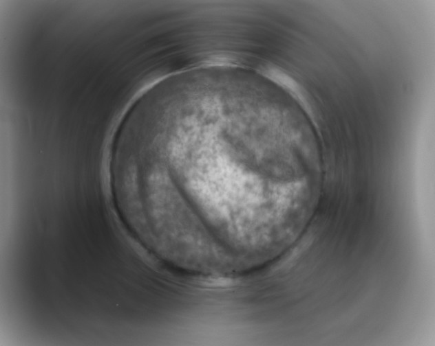 X0000089711235200707051656