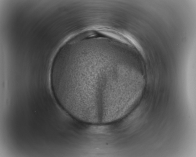 X0000089711237200707051656