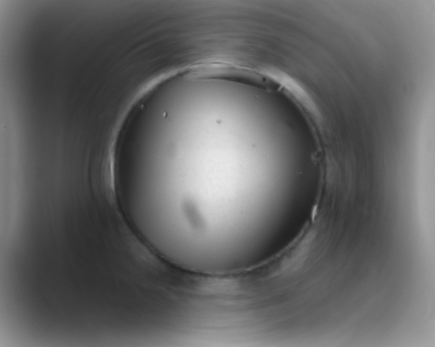 X0000089711238200707051656