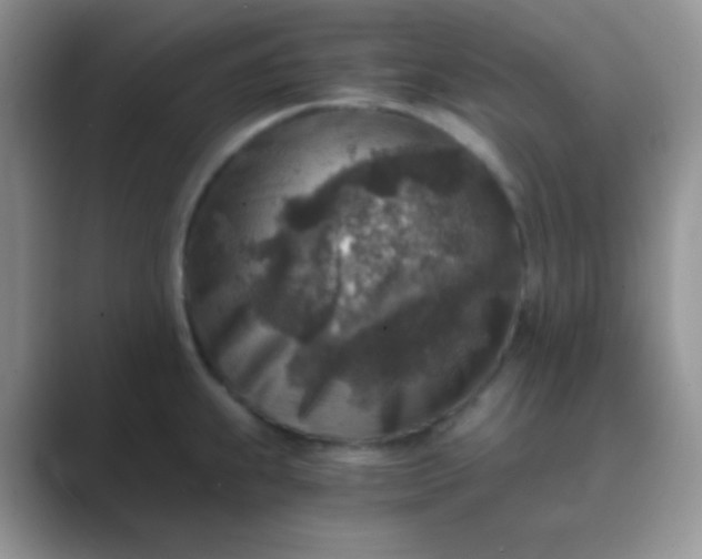 X0000089711239200707051656