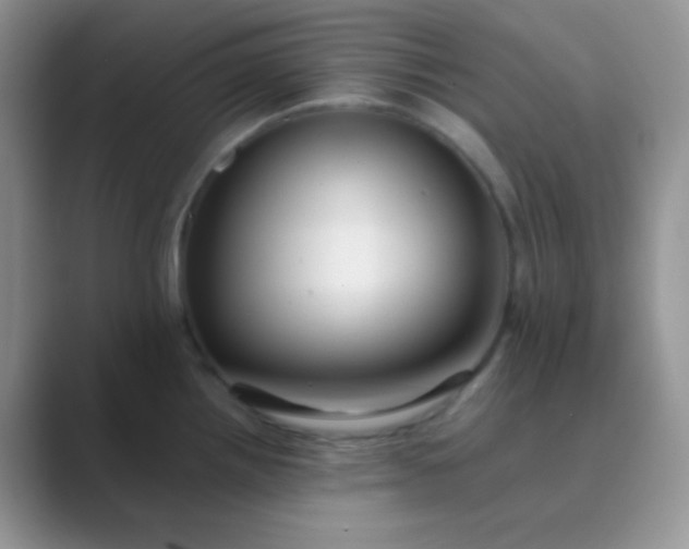 X0000089711242200707051656