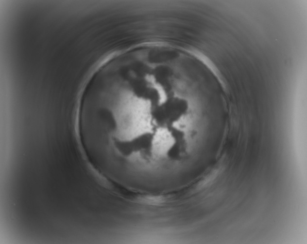 X0000089711245200707051656