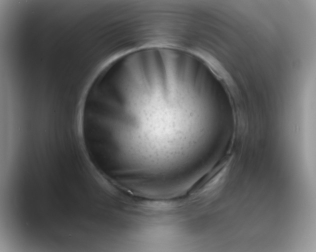 X0000089711246200707051656