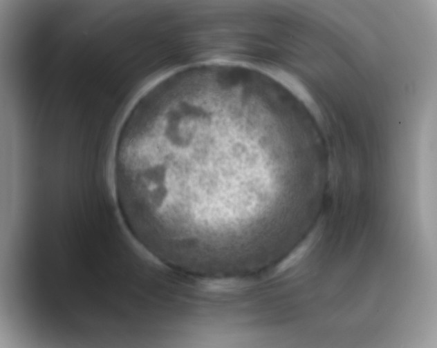 X0000089711247200707051656