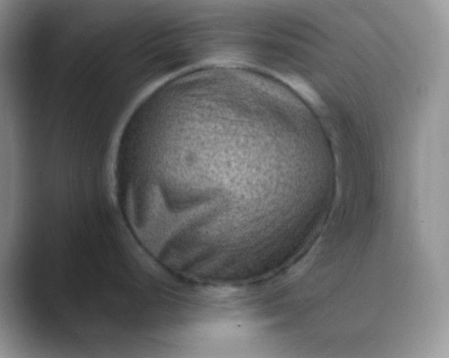 X0000089711248200707051656