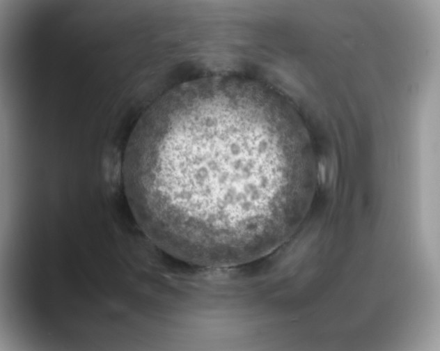 X0000089711251200707051655