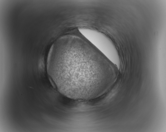 X0000089711252200707051655