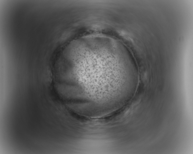 X0000089711253200707051655