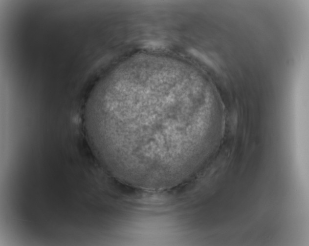 X0000089711254200707051655