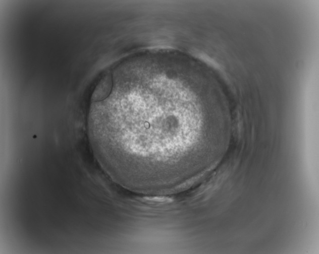 X0000089711255200707051655