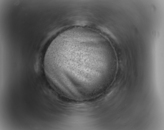 X0000089711256200707051655