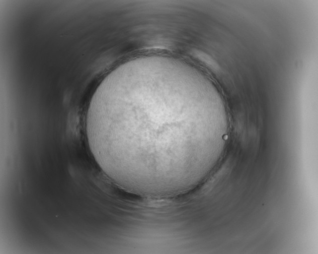 X0000089711258200707051655