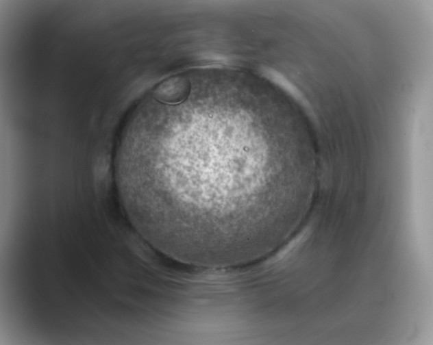 X0000089711259200707051655