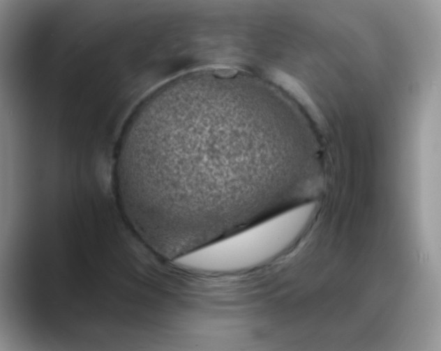 X0000089711260200707051655