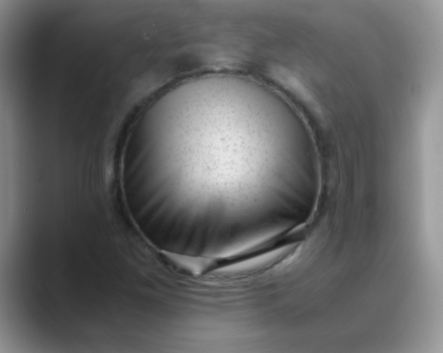 X0000089711261200707051655