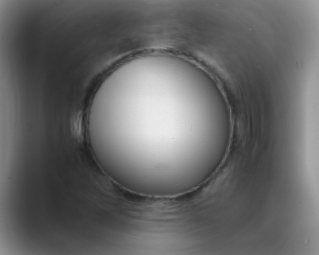 X0000089711262200707051655