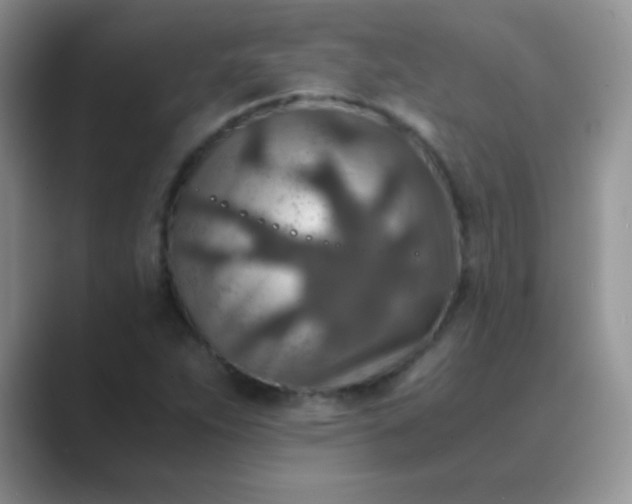 X0000089711263200707051655